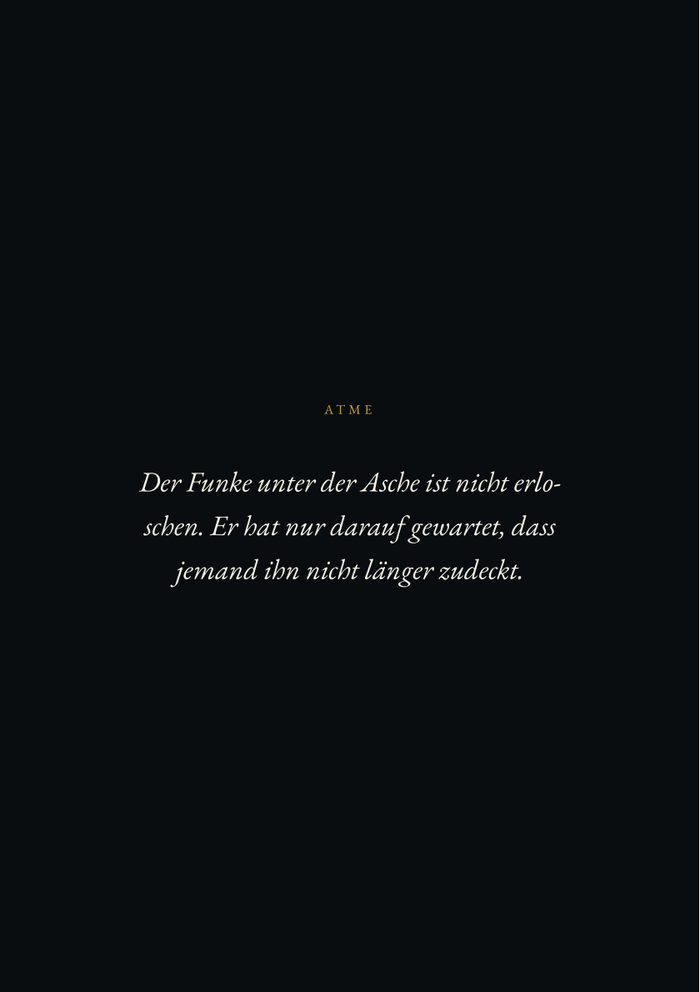 Einblick aus dem Buch: Ausgebrannt, aber nicht zerbrochen