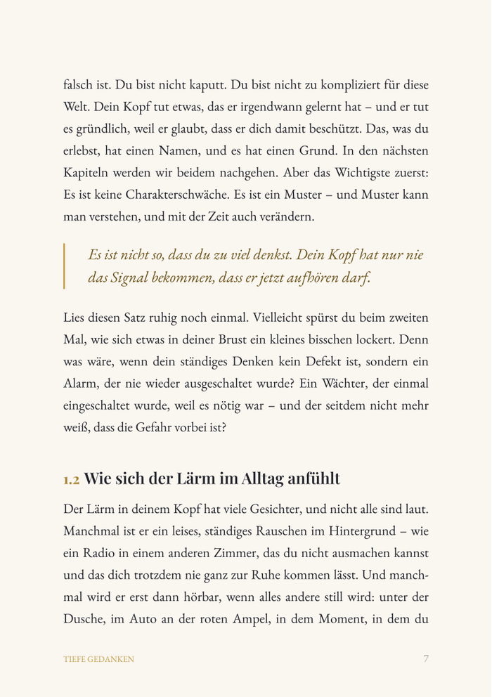 Einblick aus dem Buch: Der Lärm in meinem Kopf